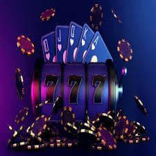 166 win bet 166 win bet